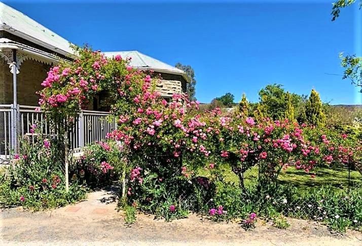 Jack Of The Karoo Villa Sutherland Exterior photo